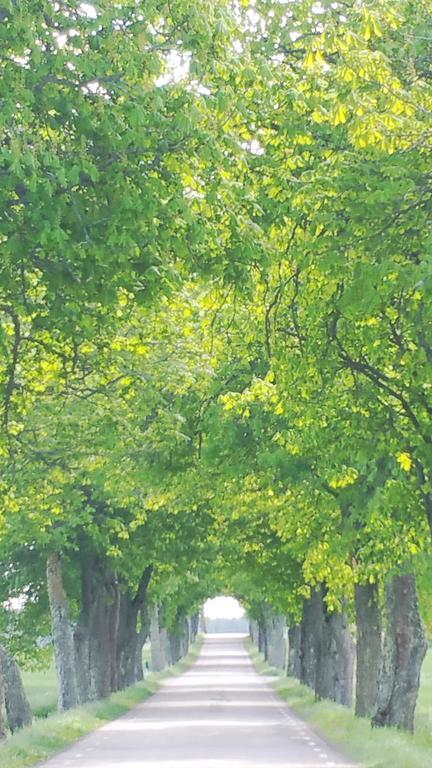 Stora Djuloe Vandrarhem カトリネホルム エクステリア 写真