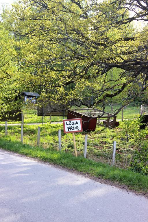 Stora Djuloe Vandrarhem カトリネホルム エクステリア 写真